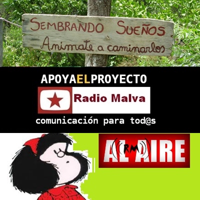 radio malva  (77)