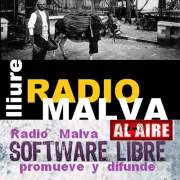 radio malva  (22)