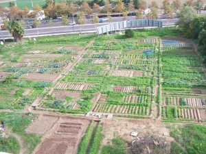 7.-26-de-noviembre-29