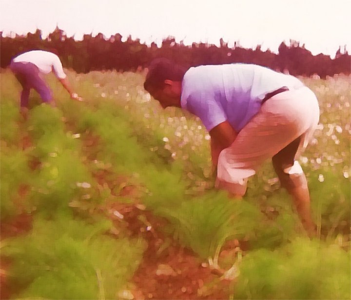 ecf37b9ee2f9f30add4846f9d8b9615d_XL