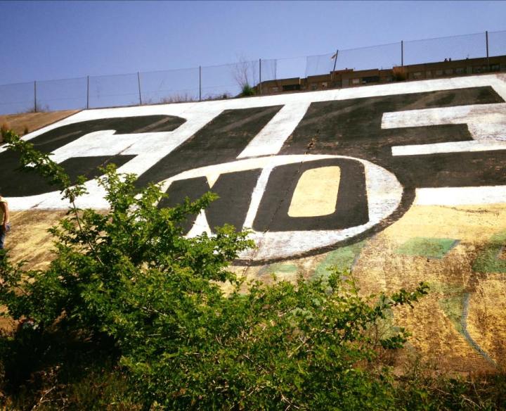 14516519_1237888359625467_1457988621175232680_n